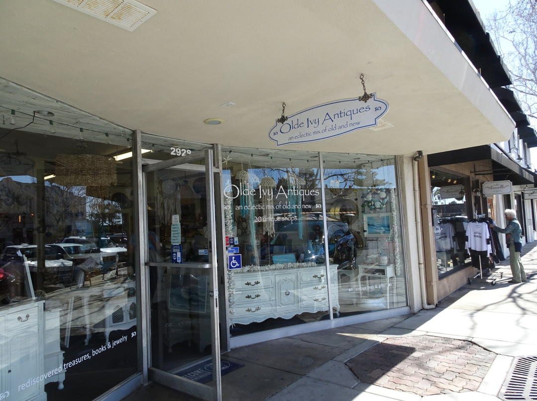 Ocean Tide Interiors (formerly Olde Ivy Antiques)-卡尔斯巴德必去景点