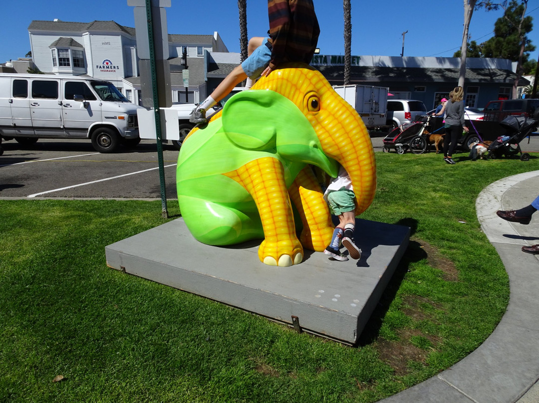 Dana Point Farmer's Market-德纳角必去景点