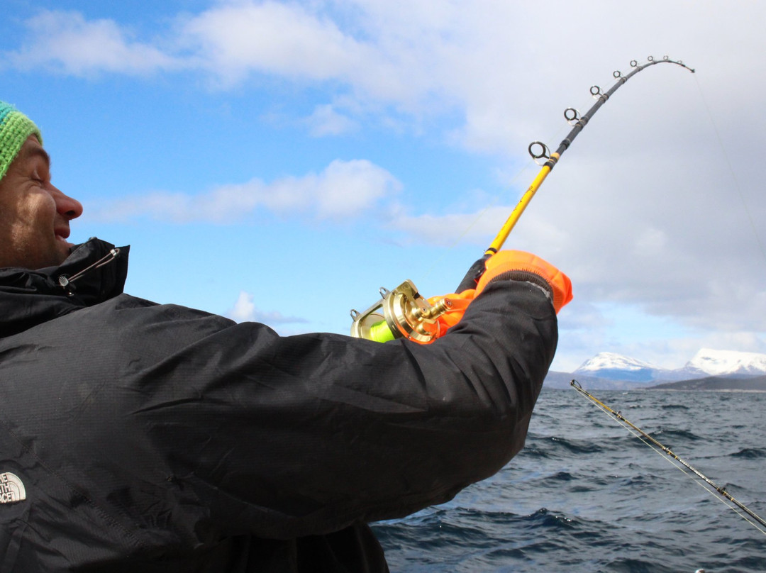 Arctic Ventures AS-Tysfjord必去景点