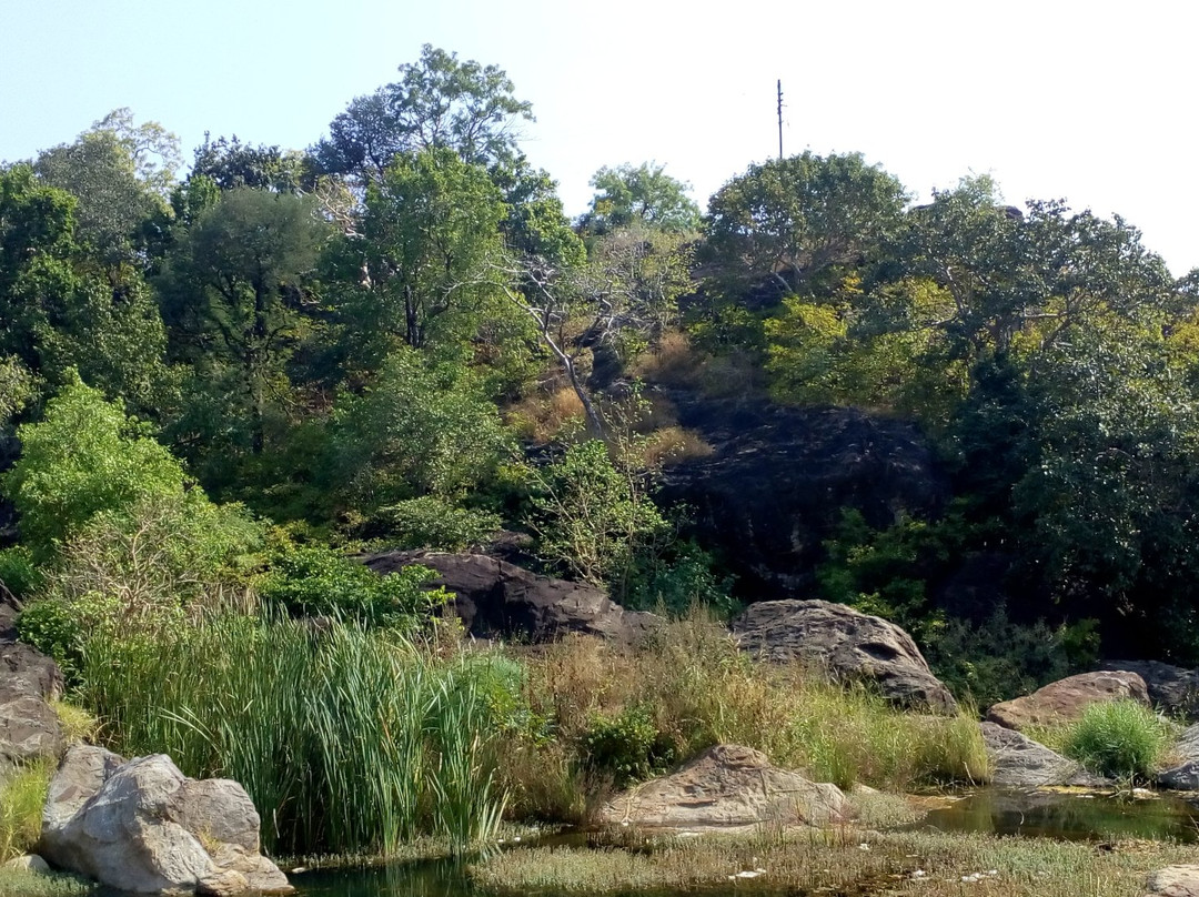 Salbardi Shivalinga Caves-Betul District必去景点