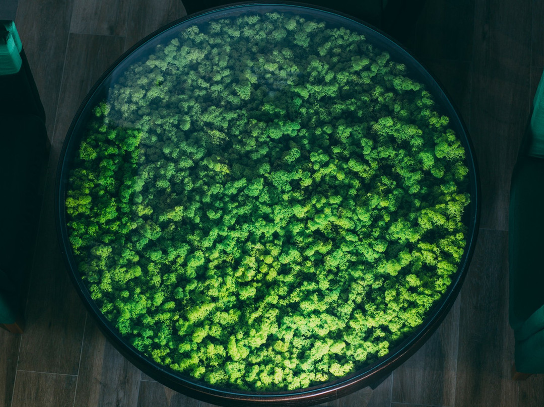 Green Resort Hotel & Spa主图