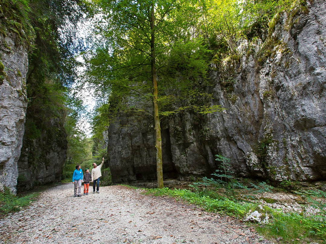 Site Historique des Grottes de Saint-Christophe景点图片