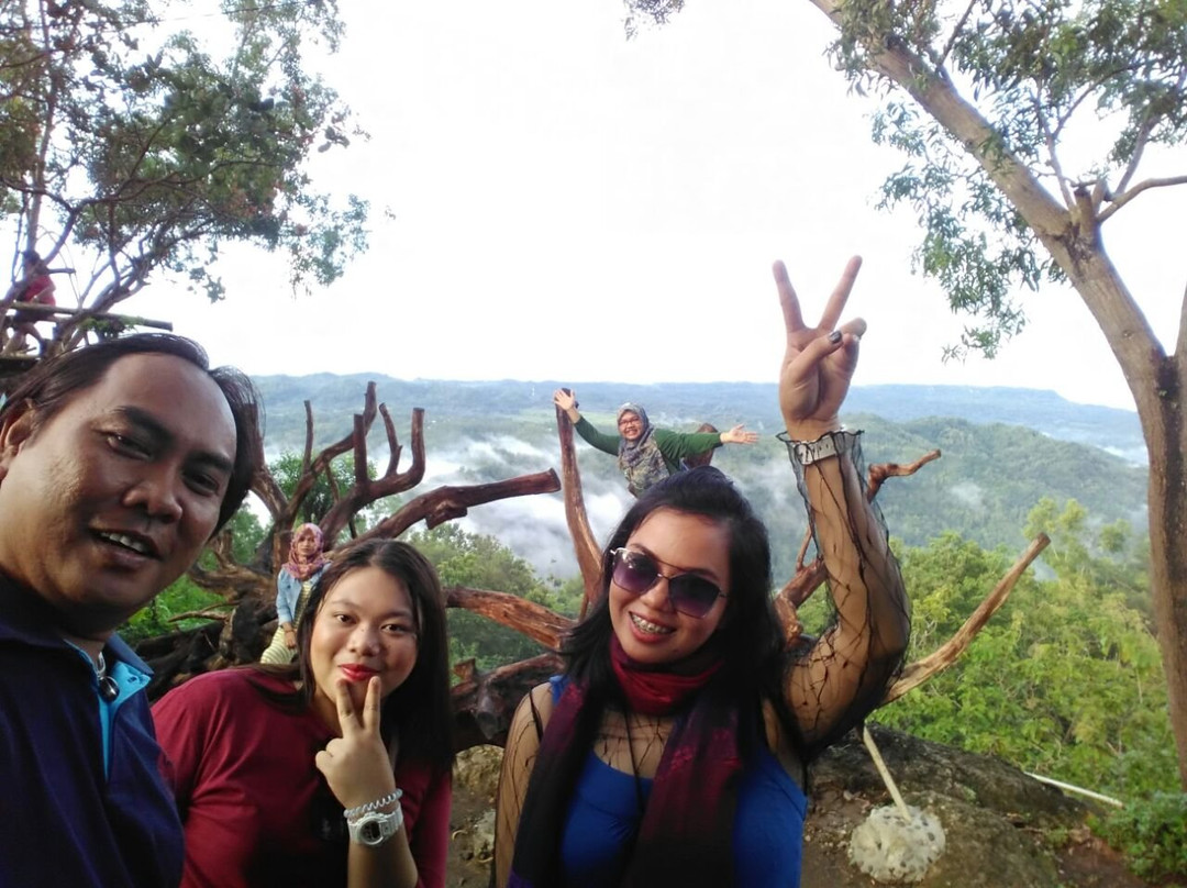 Aho Trans-Sleman必去景点