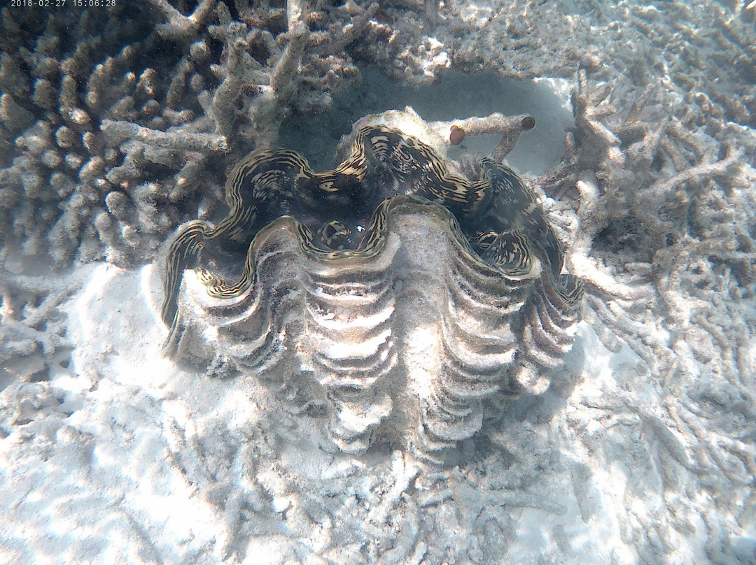 Detour Beach View主图