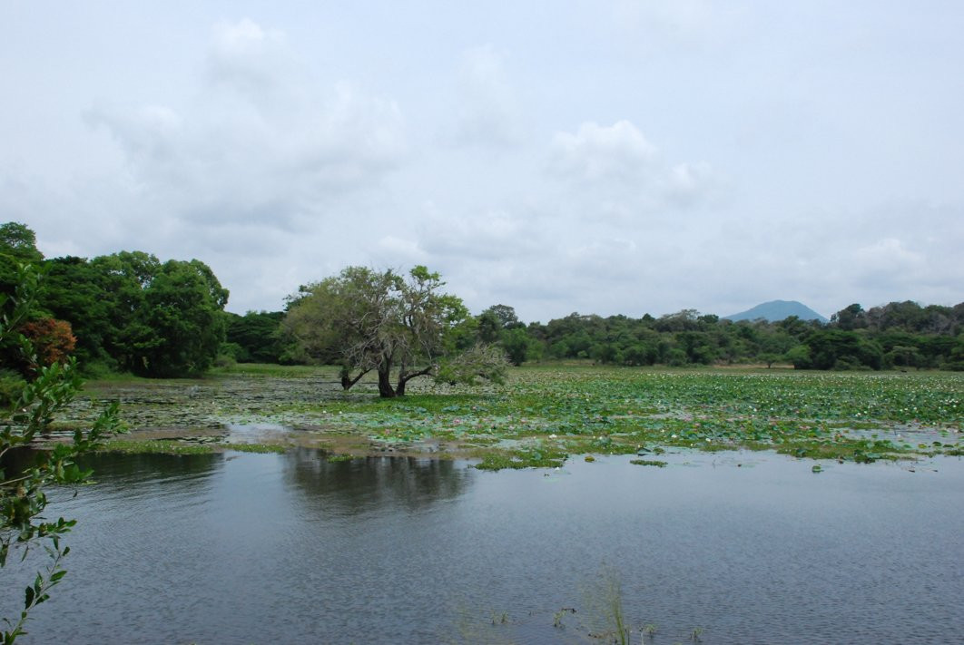 巨石场度假酒店主图