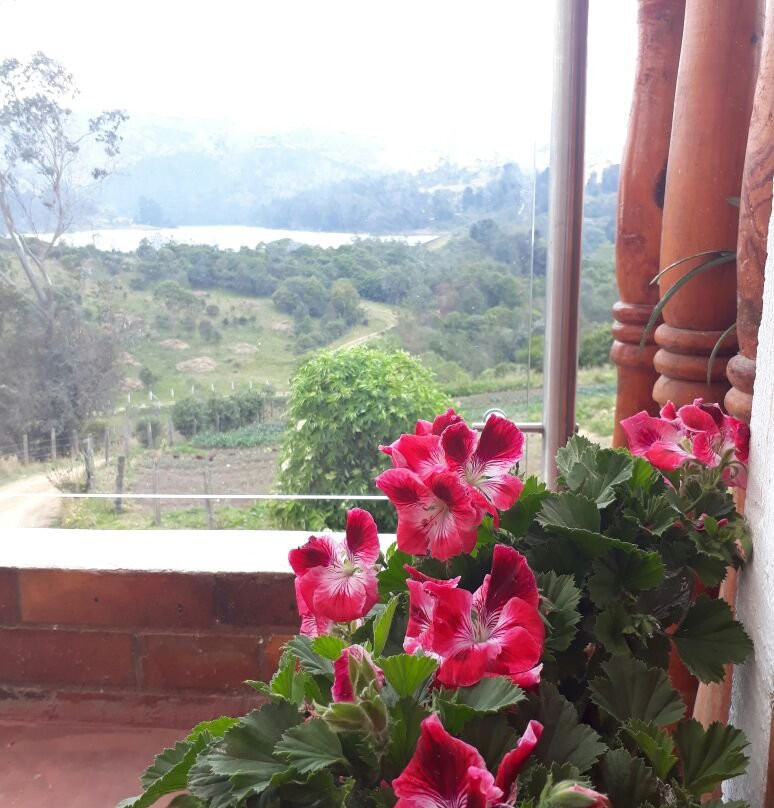 Granja Temática La Dorada-波哥大必去景点