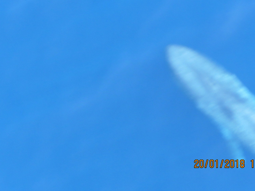 Whale Watching Safari-乌纳瓦图纳必去景点