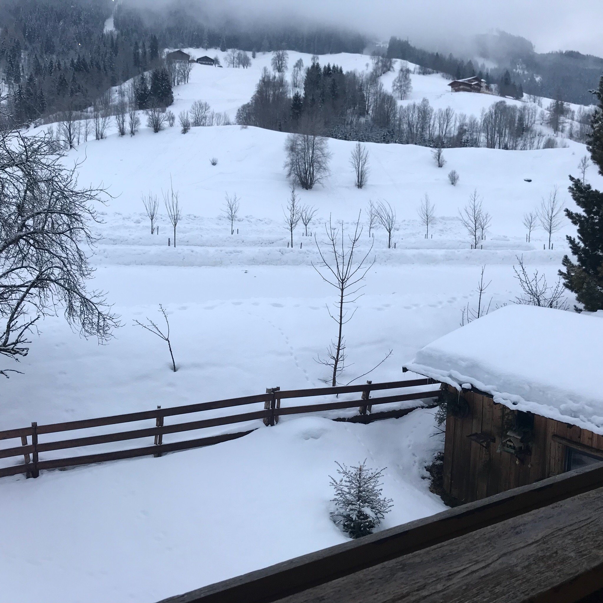 Pension Mitterwallner-官方