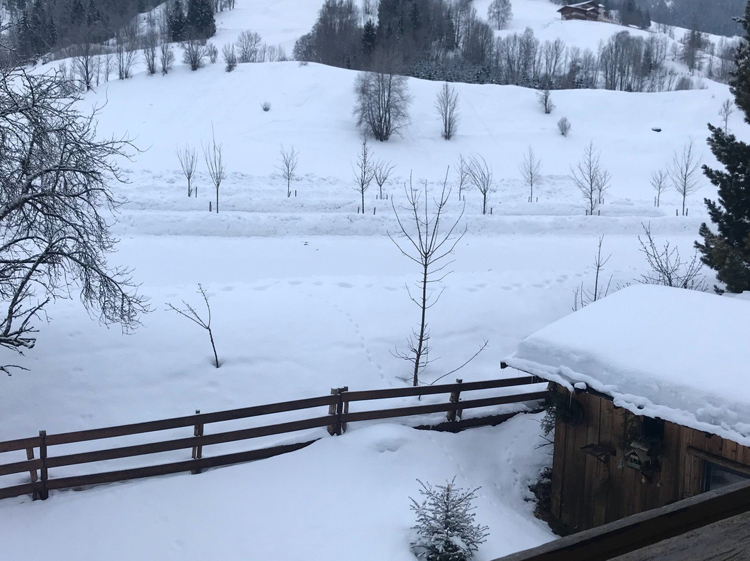 Mandling酒店住宿-Pension Mitterwallner