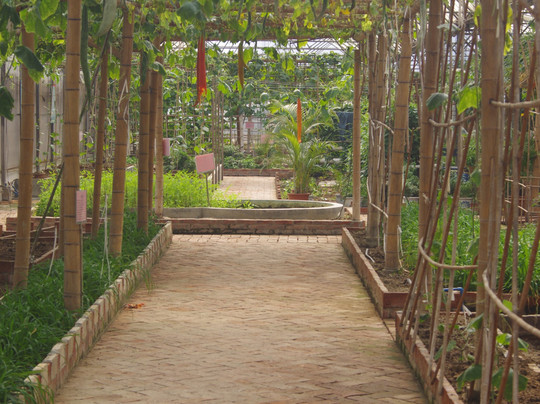 广州蔬菜公园-广州市必去景点