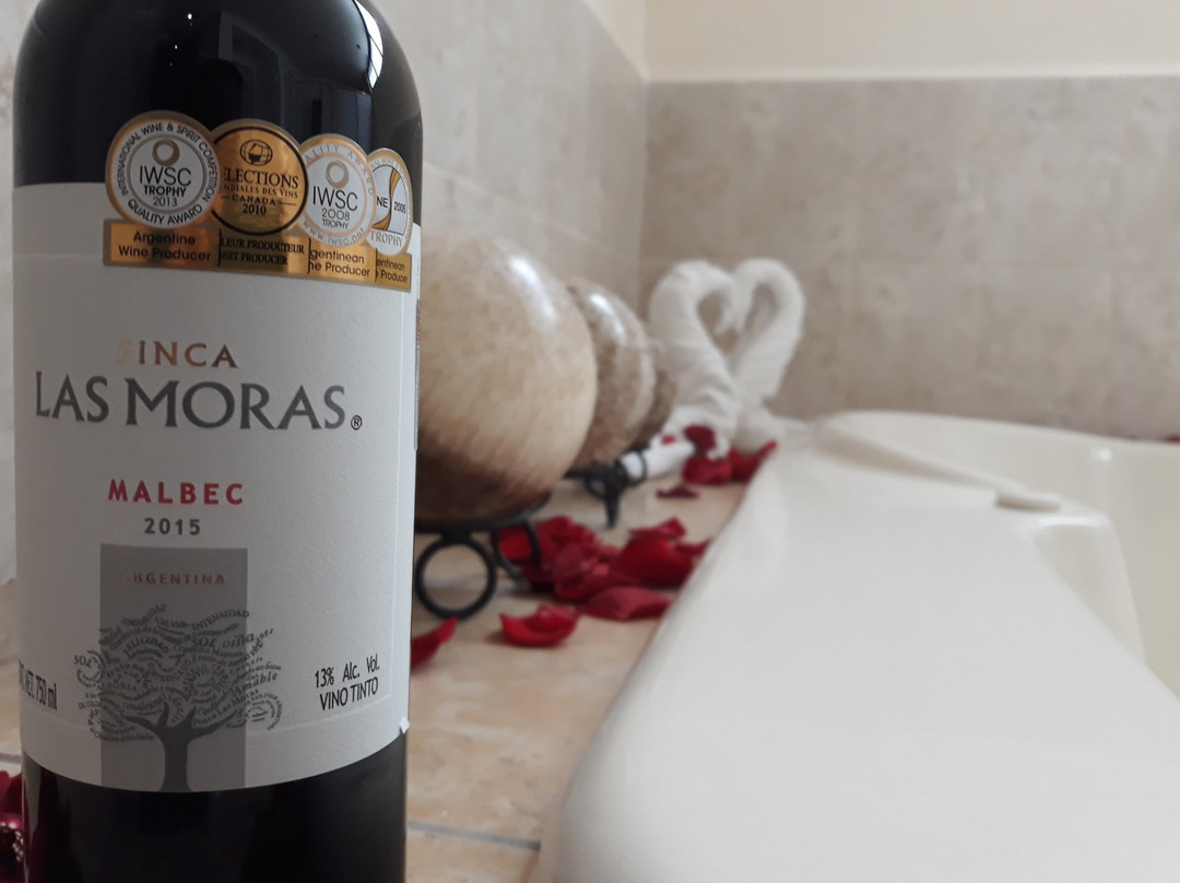 Hotel La Gloria De Calvillo主图