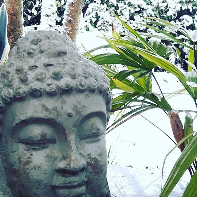Ayurveda Yoga and Beauty Center Ayurvedic Aarau-Aarau必去景点