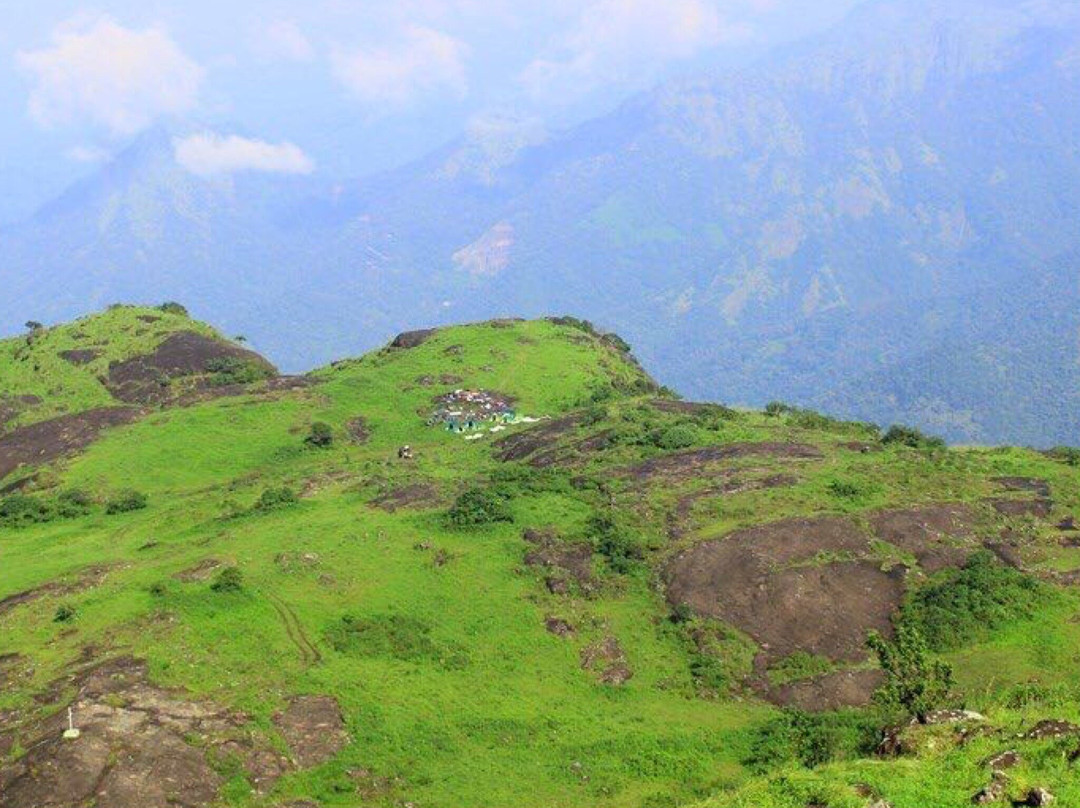 Idukki Wildlife Sanctuary景点图片