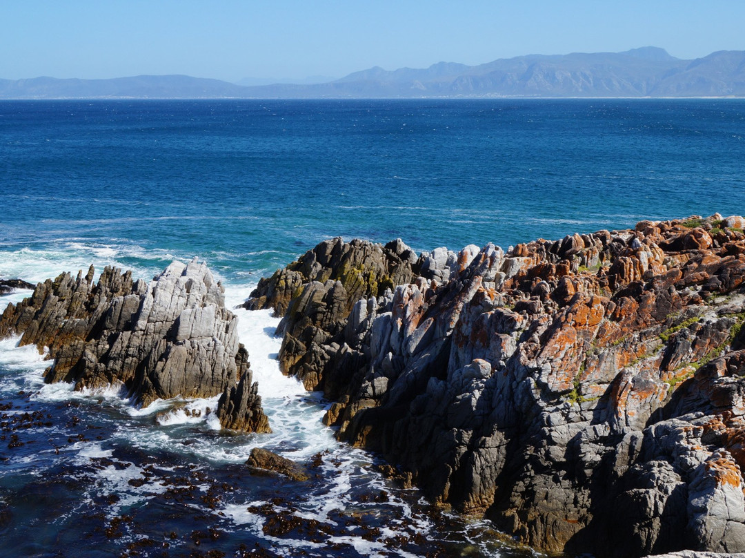 Whalesong Lodge主图