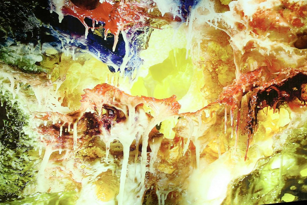 H.H. Dorje Chang Buddha III Cultural and Art Museum-柯汶纳必去景点