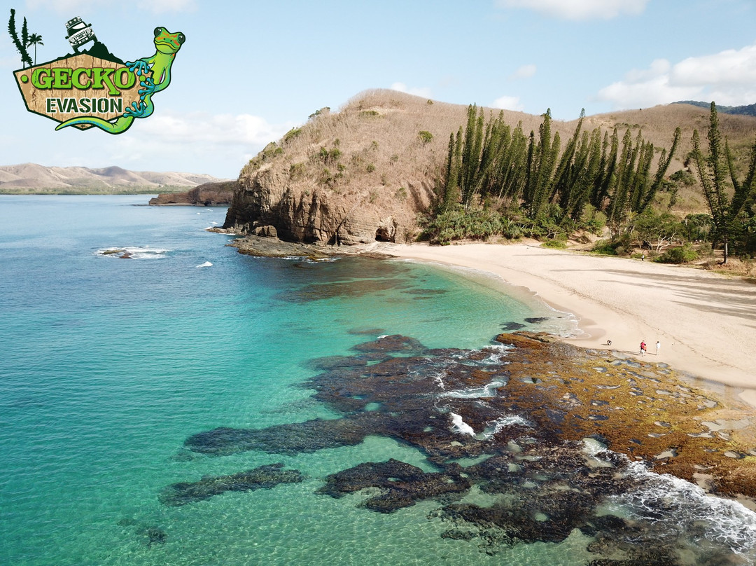 Gecko Evasion-Bourail必去景点