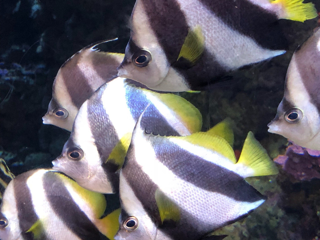 Ocean Science Discovery Center-怀露库必去景点