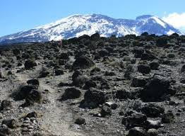 Great View Adventure-阿鲁沙必去景点