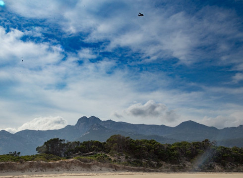Strzelecki National Park-Flinders Island必去景点