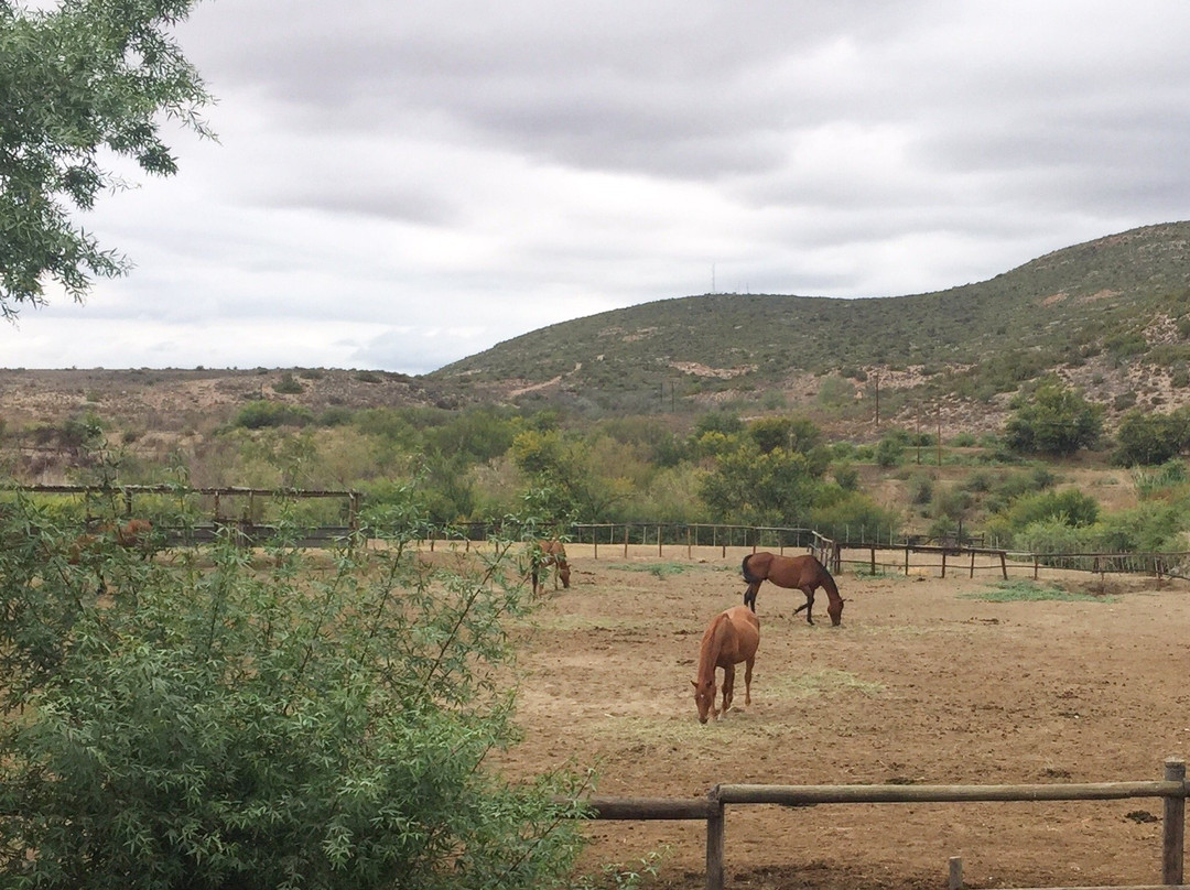 Gamka River Safari Co. - Day Rides-Calitzdorp必去景点