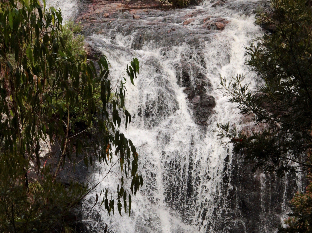 Gibraltar Range National Park景点图片
