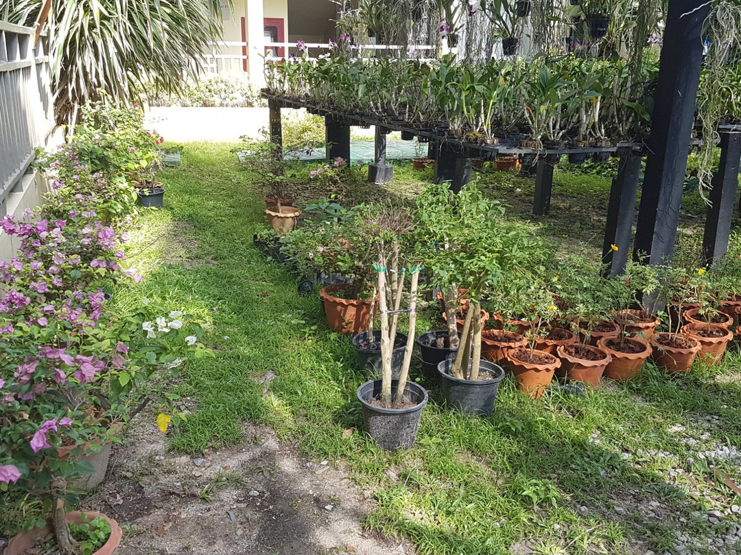 Merlin Butterfly Sanctuary-芭东海滩必去景点