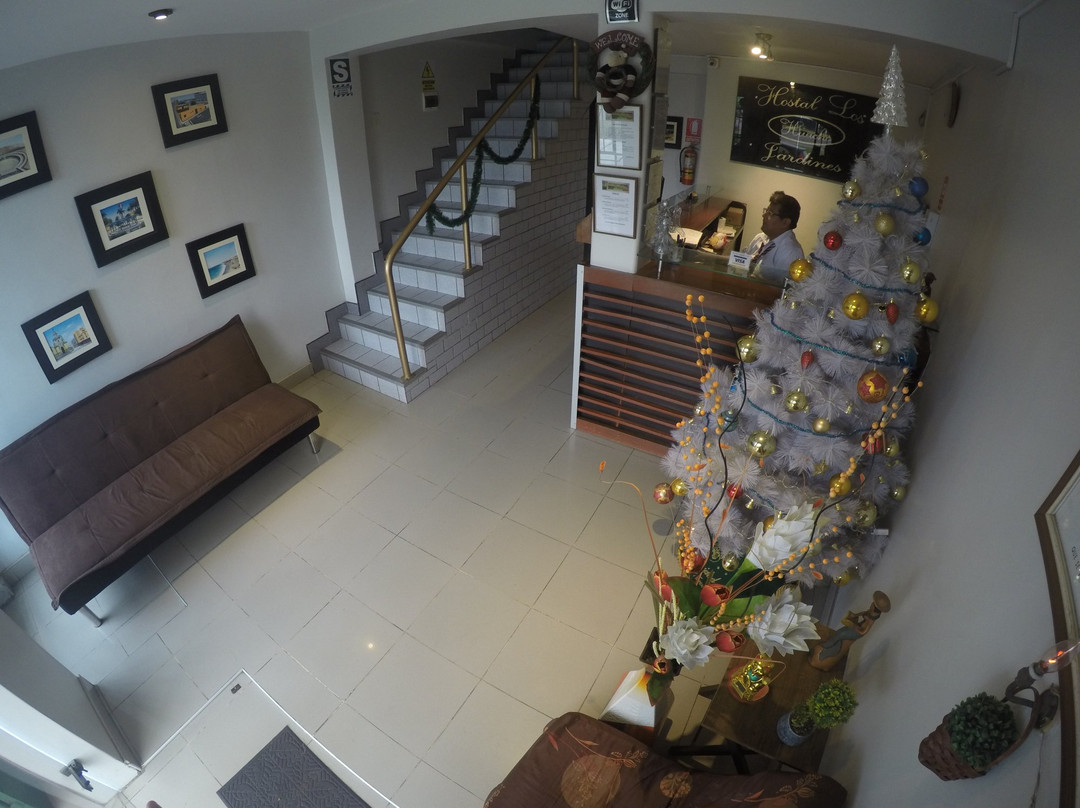 Hostal Los Jardines主图