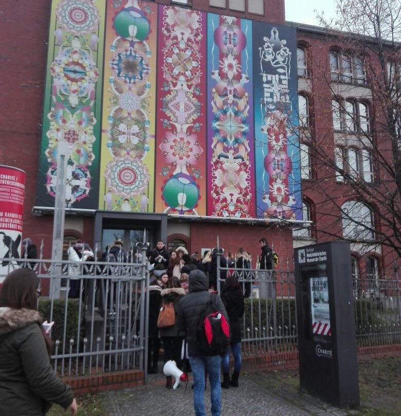 Berlin Museum of Medical History of the Charite-柏林必去景点