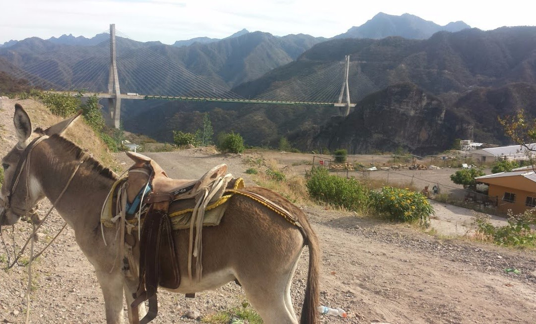 Baluarte Bridge-马萨特兰必去景点