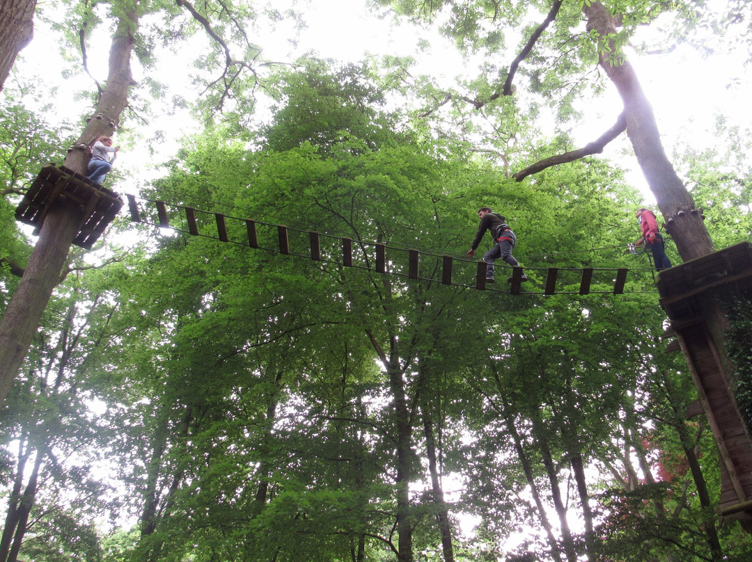 Angiens Accrobranche Aventures景点图片