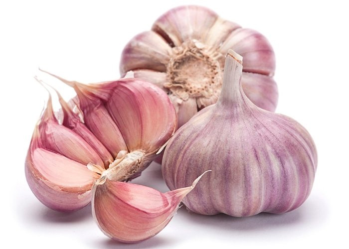 Potty About Herbs-乔利必去景点