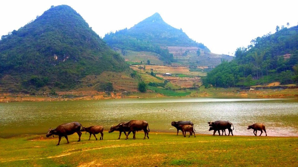 Bac Ha Discovery Trek-Bac Ha必去景点