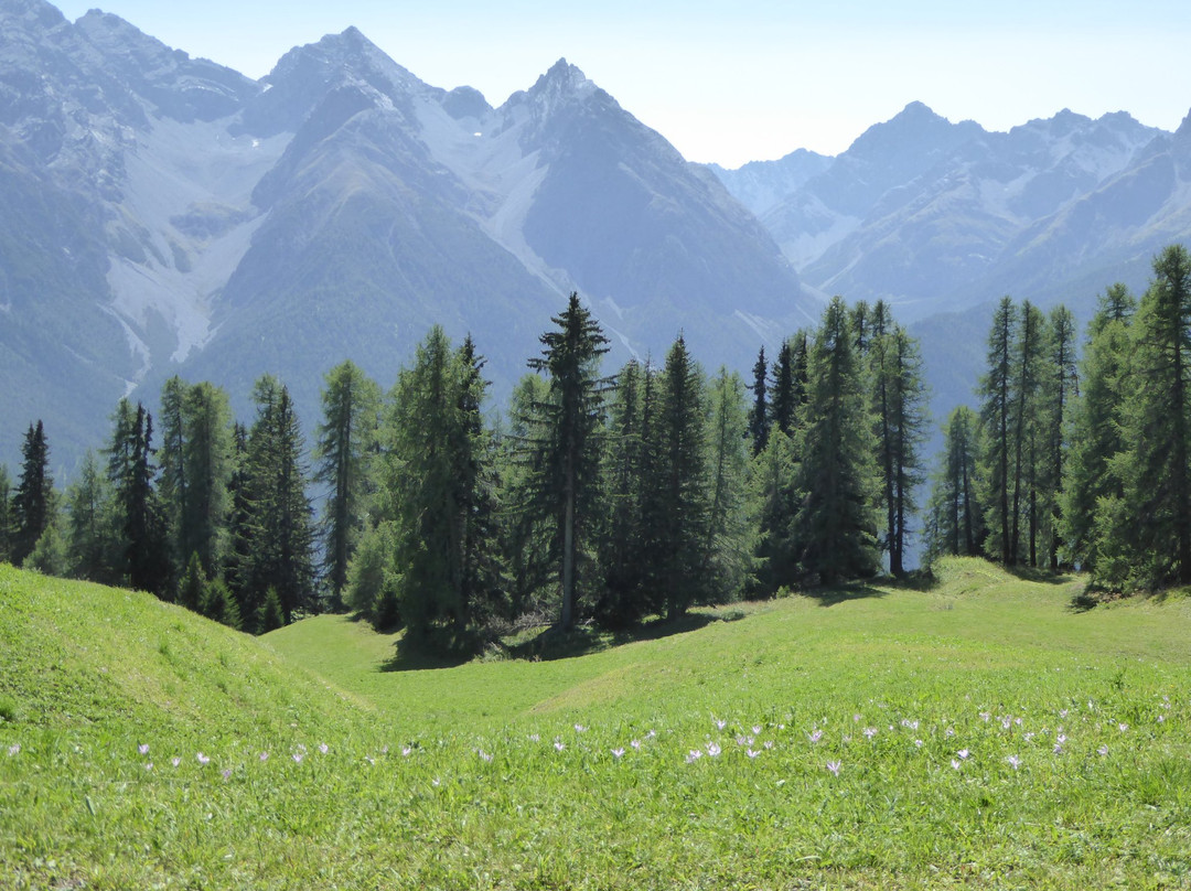 Tarasp旅游景点-Alp Laret