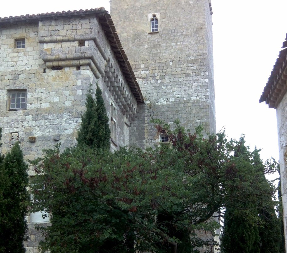 Château de Plieux景点图片