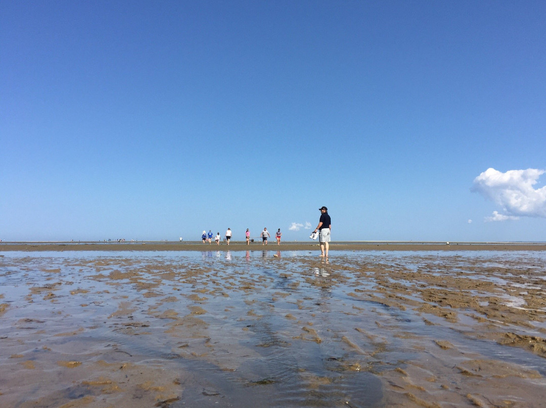 Saint's Landing Beach景点图片