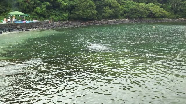 Kawana Beach景点图片
