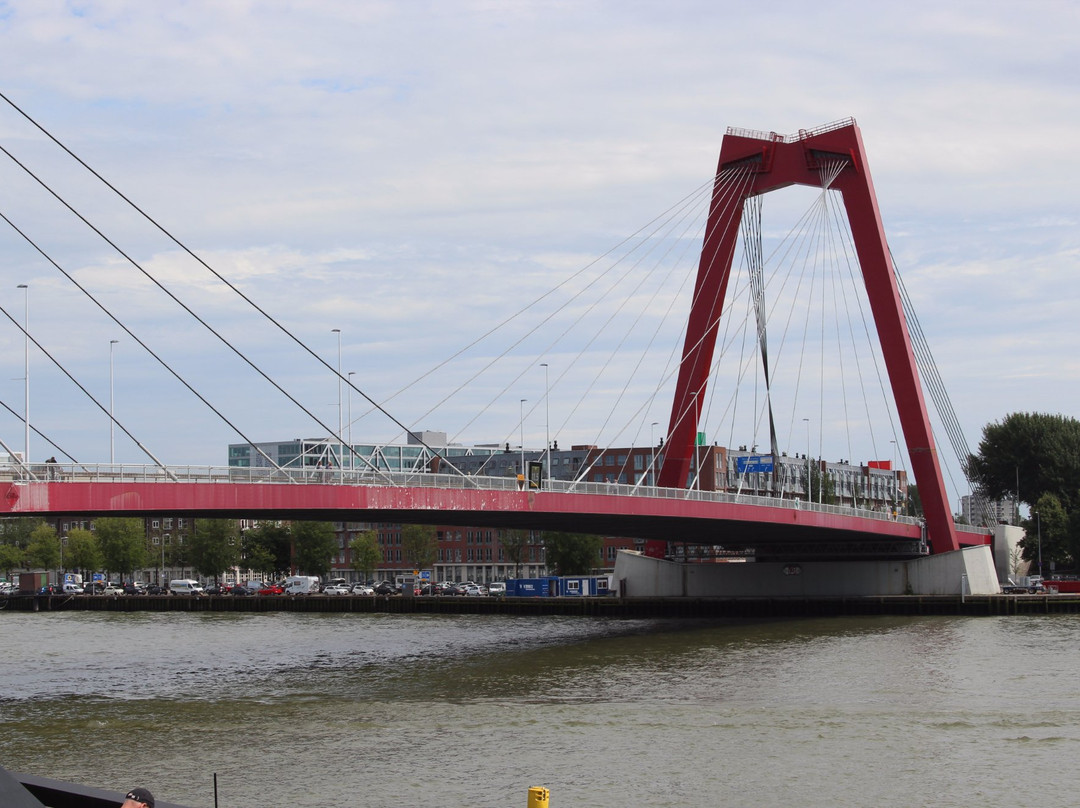 Willemsbrug-鹿特丹必去景点