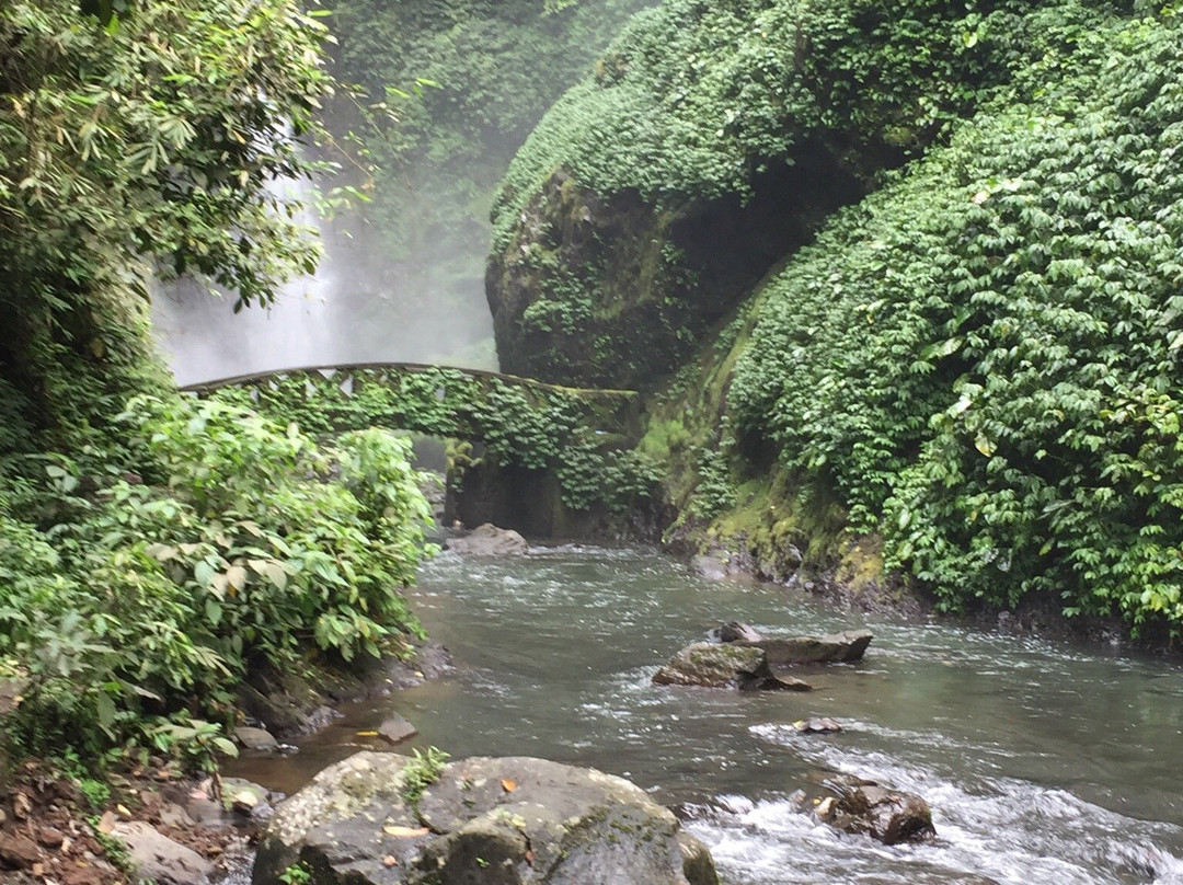 Kali Waterfall景点图片