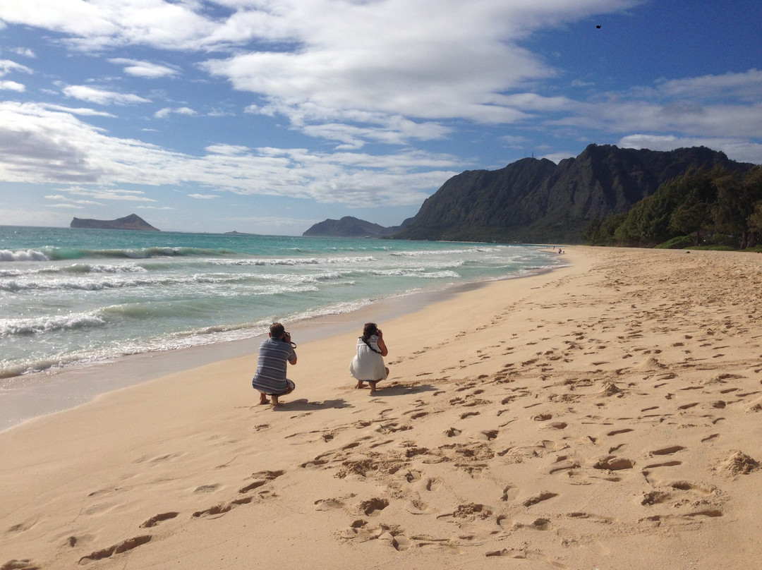 Halia Private Tours-火奴鲁鲁必去景点