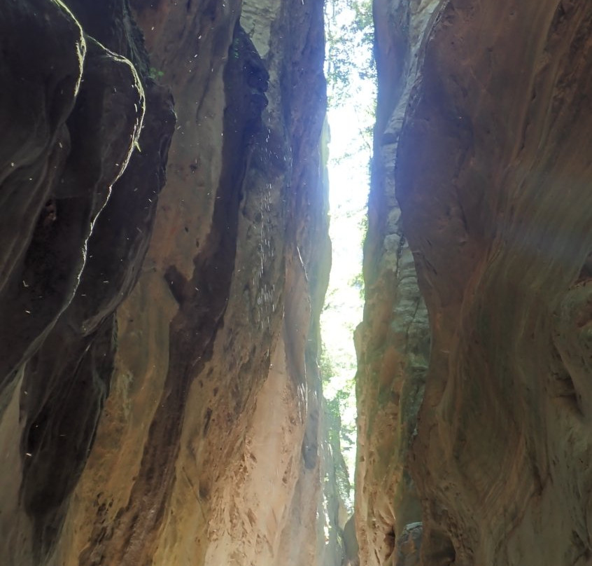 Experience Nature Outdoor Activities-Gytheio必去景点