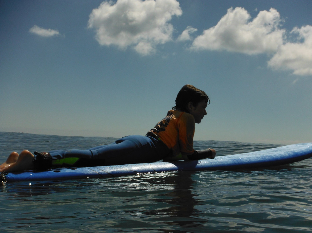 Kennack Sands Surf School景点图片