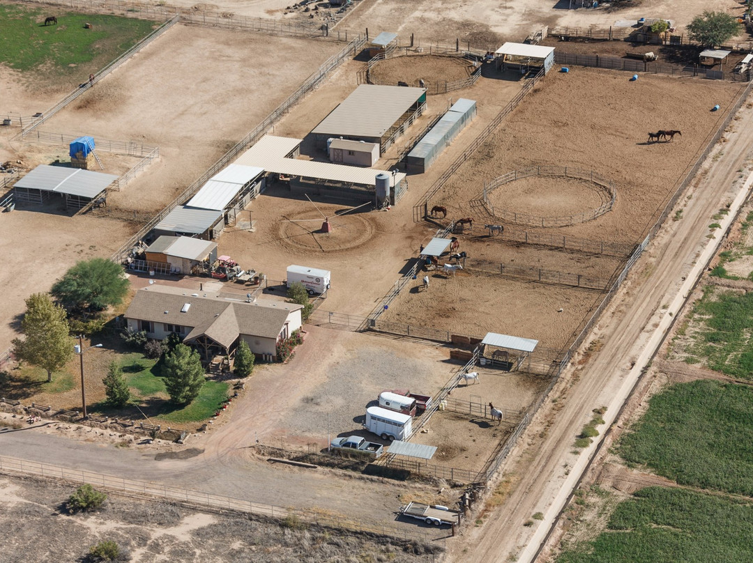 Arabians and More-Litchfield Park必去景点