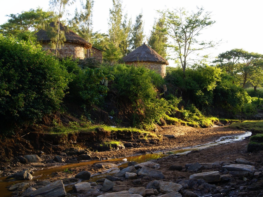 Tulia旅游攻略图片