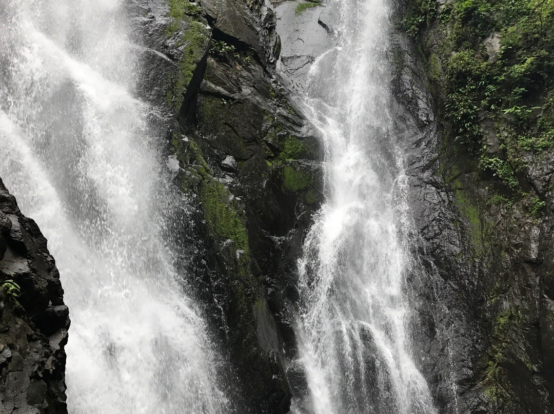 Ficus Trails-蒙特沃德必去景点