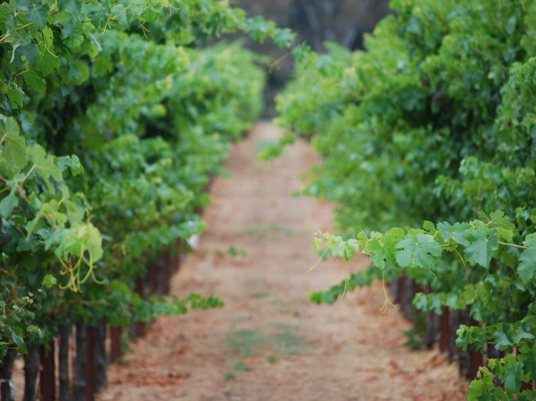 Merriam Vineyards Winery景点图片