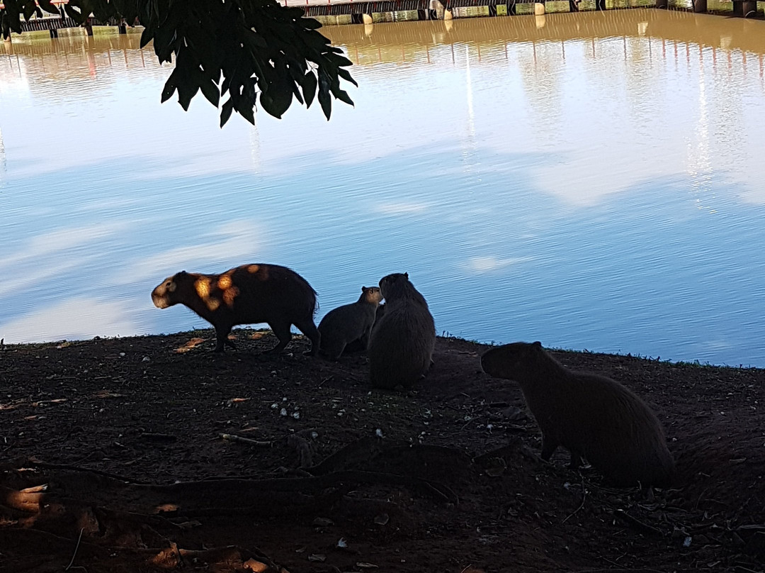 普雷图河畔圣若泽旅游攻略图片