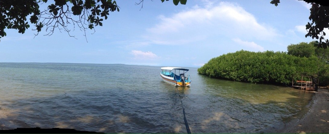 Bama Beach-Situbondo必去景点