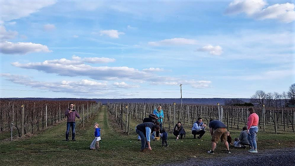 Happy Valley Vineyard & Winery-宾夕法尼亚州学院必去景点