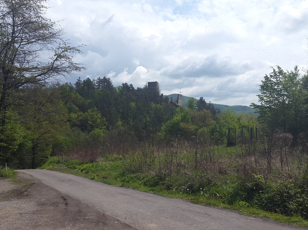 Revište Castle ruins景点图片