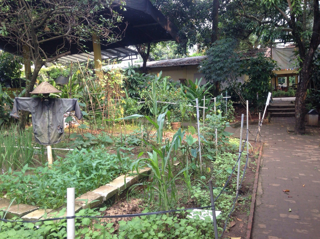 Godong Ijo-Depok必去景点